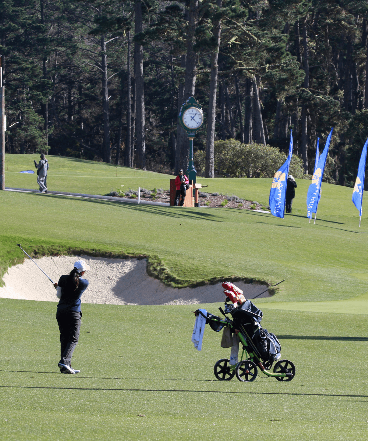 24032140175_3be77786c0_o