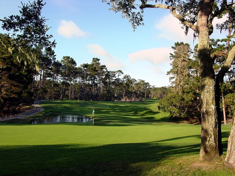 2026 NCGA Super Senior Amateur Championship