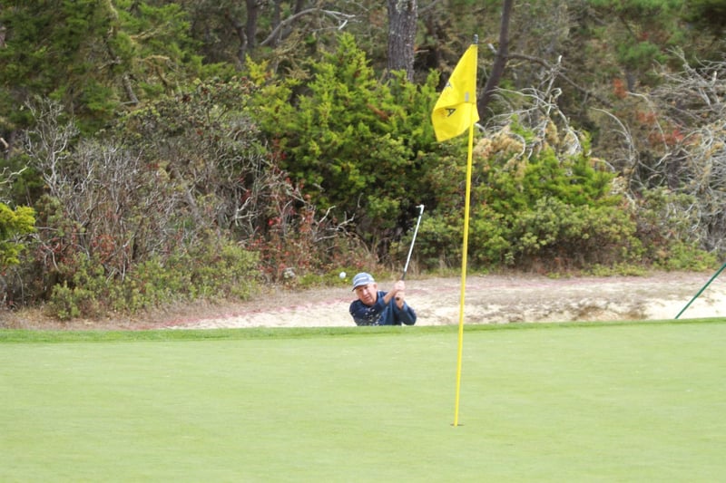 Competition Yet Also Fun and Social