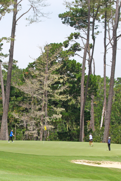 NCGA Juniors One-Day Events - 400x600 crop