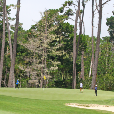 NCGA Juniors One-Day Events - Mobile 400x400 crop