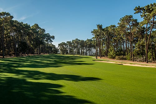 Senior Four-Ball Net
