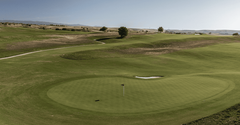 Poppy Ridge: The Inside Scoop--Strategy