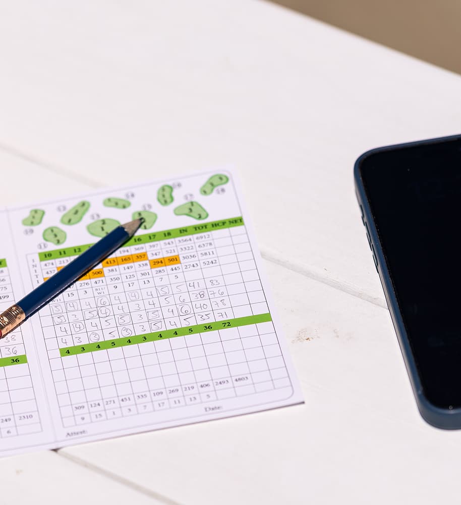 imagehandicap-history