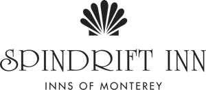 spindrift-logo-blk copy
