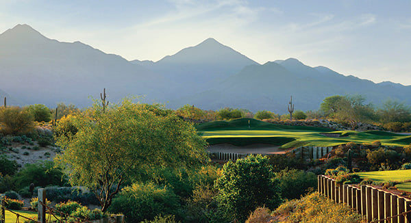 Scottsdale 600