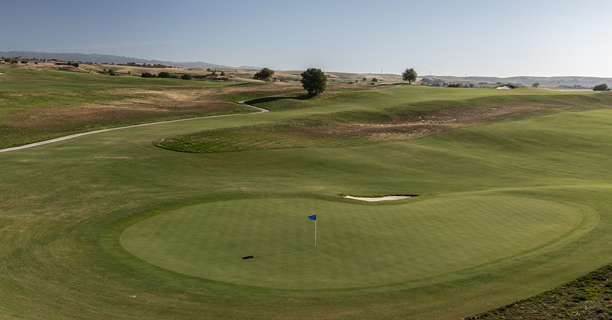 Poppy Ridge: The Inside Scoop--Strategy