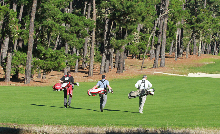 Three male golfers carrying golf bags walking down a green fairway at Poppy Hills Golf Course